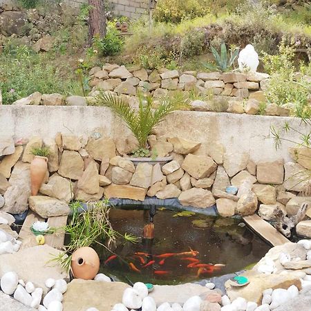 La Villa Du Menhir Gite Bize-Minervois Eksteriør bilde