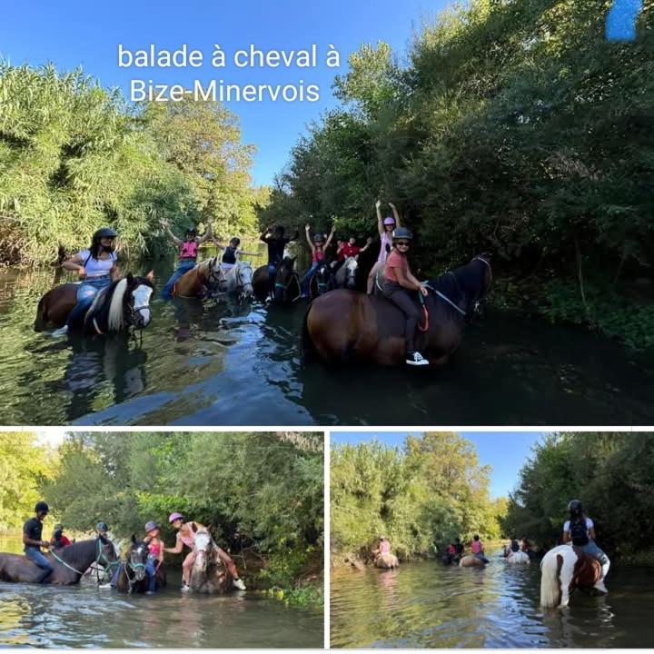 La Villa Du Menhir Gite Bize-Minervois Eksteriør bilde