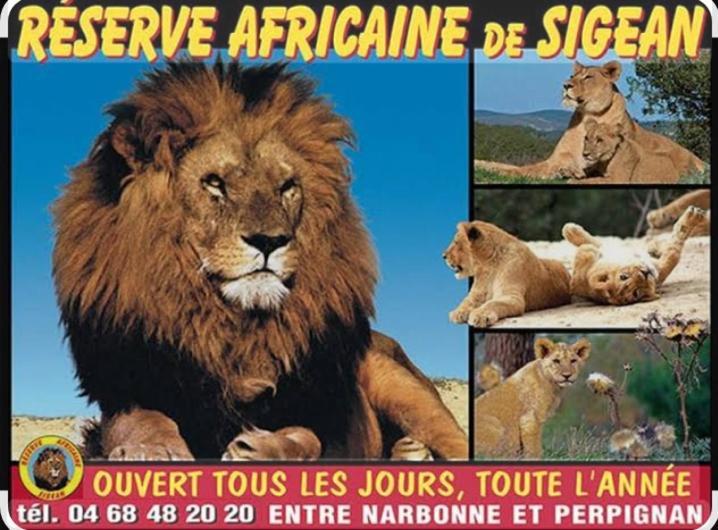 La Villa Du Menhir Gite Bize-Minervois Eksteriør bilde